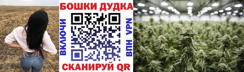 Где купить Циолковский ГАШ Бошки Шишки СОЛЬ Мефедрон COCAIN