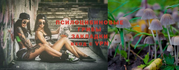 ешки Абаза